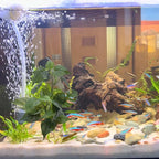 M2cbridge Fish Tank Plastic Soft Grass Artificial Betta Water Plants Decoration Goldfish Hide 12" (Tall Anubias 2pcs)