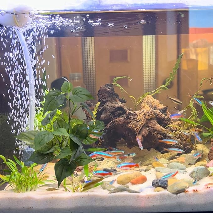 M2cbridge Fish Tank Plastic Soft Grass Artificial Betta Water Plants Decoration Goldfish Hide 12" (Tall Anubias 2pcs)