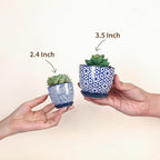 Selamica Ceramic 2.4 Inch Succulent Pots, Mini Succulent Planter Pot for Cactus Plant with Drainage Holes & Saucers, Home Decor, Set of 6, Vintage Blue