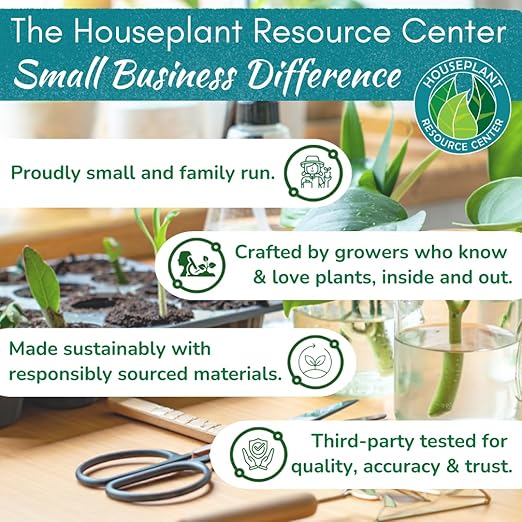 Root Rot Repair for Houseplants – Root Supplement & Recovery Drops for Overwatering or Shock | Heals Roots, Prevents Yellowing, Brown Spots & Dropping Leaves (8 oz)