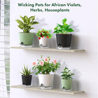 Meowell Self Watering Pots Set of 7 – Assorted Size 4" to 8" Indoor Plant Pots with Drainage Holes and Clear Reservoir for Visible Water Level, Plastic Wicking Planter for House Plants & Flower, White