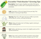 Clovers Garden Cucumber Patio Snacker Plants - Two (2) Live Plants – Non-GMO - Not Seeds - Each 4" to 8" Tall – in 4" Inch Pots - Burpless, High Yield, Compact