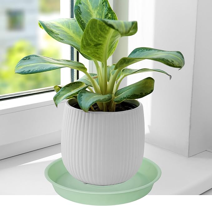 2 Pack of 8 inch Plant Saucer Clear, Heavy Duty Plastic Plant Water Tray 8 inch Round, Flower Plant Saucers for Indoors No Holes, Plant Dishes Saucer for Planter 7"/8" (8", Light Green)