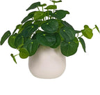 365 Blooming Decor Artificial Pilea Plant – Luxury Potted Money Plant in White Textured Pot with Real Pebbles, Premium Soft Plastic, Pet-Friendly, Realistic Look and Touch, No Assembly