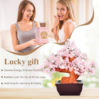 Feng Shui Natural Rose Pink Quartz Crystal Money Tree Bonsai Style Decoration for Wealth and Luck (Pink)