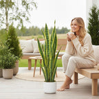 3FT Tall Artificial Trees, Fake Snake Plant with White Planter & 33 Realistic Leaves, Large Potted Artificial Sansevieria Mother in Law Tongue Plant, for Living Room Hallway Entryway