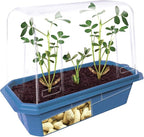 Unique Gardener Peanut Plant Garden Kit, Grow Delicious Healthy High Protein Peanuts, Planting Indoor Seeds and Outdoor Gardening Plants, Includes Everything Needed Just Add Water