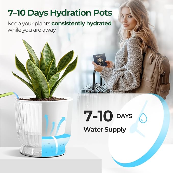 T4U 6 Inch Self Watering Pots for Indoor Plants, 4 Pack Self Watering Planter, Self Watering Pot with Reservoir, Clear Self Watering Pots for Indoor Plants, African Violets (4 Pack, 6", Clear)