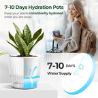 T4U 6 Inch Self Watering Pots for Indoor Plants, 4 Pack Self Watering Planter, Self Watering Pot with Reservoir, Clear Self Watering Pots for Indoor Plants, African Violets (4 Pack, 6", Clear)