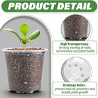 RooTrimmer 3.5" Clear Seeding Pots 100-Pack Round for Seeds Starter Pots, Seeds Germination Transparent Nursery Pots with Drainage Holes (100PCS)