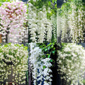 100+ Climbing Jasmine Flower Seeds for Planting-Non-GMO Jasmine Gardenia Plant Fragrant Flower Garden Home