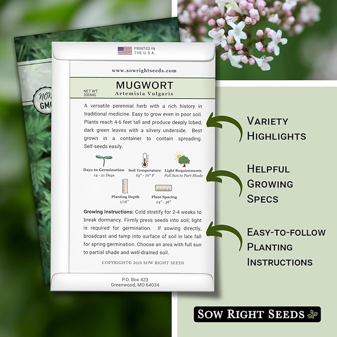 Sow Right Seeds - Mugwort Seeds for Planting - Non-GMO Heirloom Packet with Instructions to Plant an Outdoor or Indoor Herb Garden - Rare Perennial, Wild Wormwood - Medicinal & Culinary Cronewort (1)