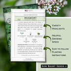 Sow Right Seeds - Mugwort Seeds for Planting - Non-GMO Heirloom Packet with Instructions to Plant an Outdoor or Indoor Herb Garden - Rare Perennial, Wild Wormwood - Medicinal & Culinary Cronewort (1)