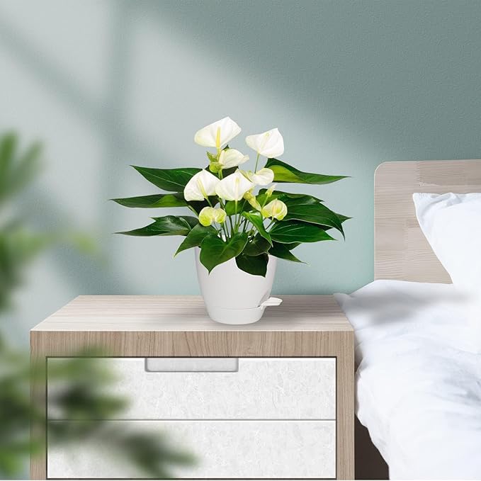 Vanslogreen Plant Pots, 7/6.5/6/5.5/5 Inch Self Watering Planters, Pots for Indoor Plants with Drainage Hole for Succulents, African Violet (Matte White)