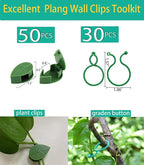 80PCS Plant Climbing Wall Fixture Clips-Plant Clips-Pothos Clips-Vine plant wall clips- Self-Adhesive Plant Fixing Hook for Plant Garden Wall Clip,Sticky Plant Fixing Clip for Decoration