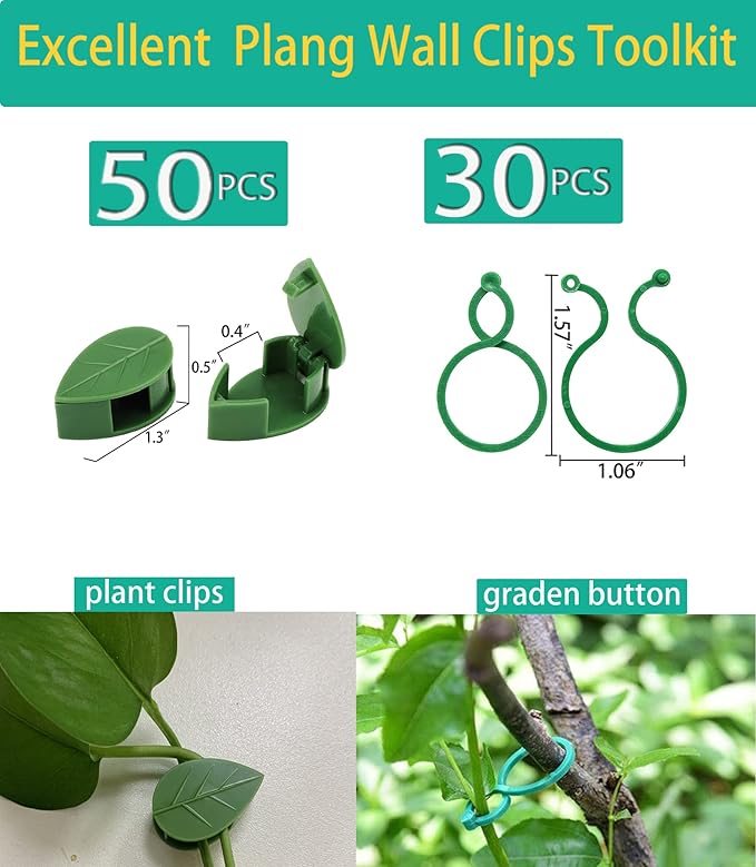 80PCS Plant Climbing Wall Fixture Clips-Plant Clips-Pothos Clips-Vine plant wall clips- Self-Adhesive Plant Fixing Hook for Plant Garden Wall Clip,Sticky Plant Fixing Clip for Decoration