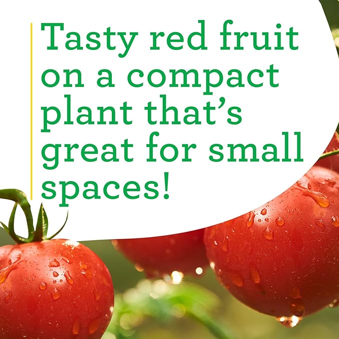 Bonnie Plants Patio Tomato, Live Plant, 19.3 oz., 4-Pack