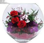 Fiora Flower | Long Lasting Real Roses in a Sealed Vase | Lasts up to 5 Years | Unique Present Gift (Enigma)