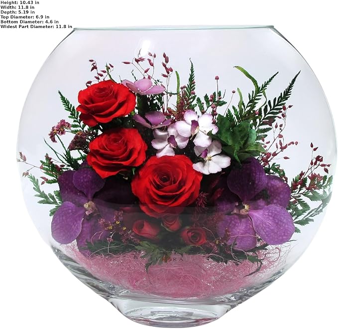 Fiora Flower | Long Lasting Real Roses in a Sealed Vase | Lasts up to 5 Years | Unique Present Gift (Enigma)
