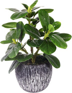 Artificial Potted Plant, Real Touch Artificial Oak Leaves Waterproof Fake Plants Indoor Outdoor, Eco Friendly Modern Concrete Greenery Plant Pots for Office Home Kitchen Shelf Farmhouse Decor