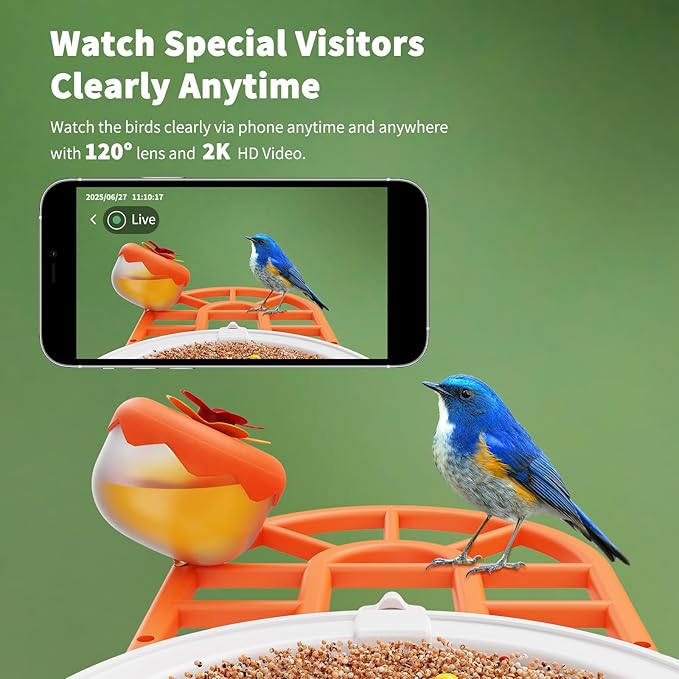 HARYMOR Bird Feeder with Camera with AI Identify Birds Species Solar Powered, Smart Bird House with Cam, 2K HD Video Live Stream, Instant Arrival Alerts - Orange