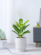 Tall Faux Palm Tree Realistic Potted Silk Artificial Plants Indoor with Pot Floor Plant for Home Office Living Room Bedroom Outdoor Wedding Stairs Foyer Decor (31" Yellow Bird of Paradise)
