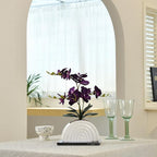 Fake Orchid Plant in White Rainbow Pot, Artificial Silk Phalaenopsis Orchid Flowers for Home Décor, Table Centerpiece, Office Desk (Dark Purple)