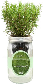 Hydroponic Herb Growing Kit, Self-Watering Mason Jar Herb Garden Starter Kit Indoor, Windowsill Herbs Garden, Grow Your Own Herbs from Organic Seeds (Rosemary)