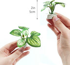 6PCS Aquarium Plants Fish Tank Decorations Betta Silk Plastic Plants for Aquarium Decor