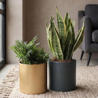 Metal Plant Pot with Drainage Hole,Mid Century Modern 7 inch Round Pot Indoor Outdoor Planters Gift for Decorative Pots of Tabletop Living Room Bedroom Gold