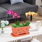 Rectangle Ceramic Orchid Pot 10In Orchid Pots with Holes for Premium Ceramic Orchid Planter for Indoor and Outdoor Use Drainage & Air Circulation Red Orchid Planter for Repotting or New Plants