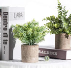 Der Rose 3 Pack Mini Potted Fake Plants Artificial Plastic Eucalyptus Plants Topiaries for Home Office Desk Farmhouse Shelf Room Bathroom Decor(Sage Green)