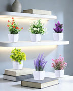 Clearain 6 Pack Fake Plants Mini Artificial Greenery Potted Plants for Home Decor Indoor Office Table Room Farmhouse Bathroom Decor (Mixed Color)