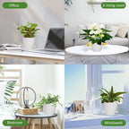 Vanslogreen Plant Pots, 7/6.5/6/5.5/5 Inch Self Watering Planters, Pots for Indoor Plants with Drainage Hole for Succulents, African Violet (Matte White)