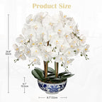 Briful Large Orchid Fake Flower in Blue and White Porcelain Bowl 24.8" White Orchid Silk Floral Arrangement Faux Phalaenopsis Flower for Home Office Room Kitchen Table Centerpiece Decor