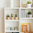 Bigmeta 3 Pcs Wood Air Plant Holder, 1.4" Rustic Style Airplant Display Stands for Women Gifts