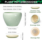 Ceramic Planter - 8 Inch Plant Pot with Drainage Hole and Saucer, Indoor Planters for Indoor Outdoor Plants, Decorative Flower Pots, Office Decor, Plant Lover Gifts, Crackle Light Green