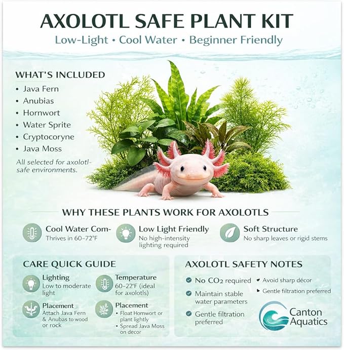 Live Aquarium Plants Bundle - Assorted Freshwater Plants - Low | Medium | High Light