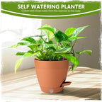5 Pack 6 Inch Self Watering Planters for Indoor Plants, Automatic Watering Pots for Busy Plant Parents & Vacation, Decorative Modern Flower Pots with Drainage & Saucers (Terra Cotta, 6 inch)