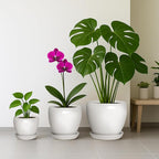 Deep Dream 8 Inch Plant Pot - Ceramic Planter with Drainage Hole and Trays, Modern Round Flower Pot, Planters for Indoor Outdoor Plants, Home Garden Decor, White