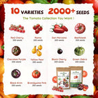 10 Heirloom Tomato Seed Varieties Packet - Non-GMO, Open Pollinated Seeds for Planting Home Garden - Beefsteak, Roma, San Marzano, Cherokee Purple, Cherry Tomato & More