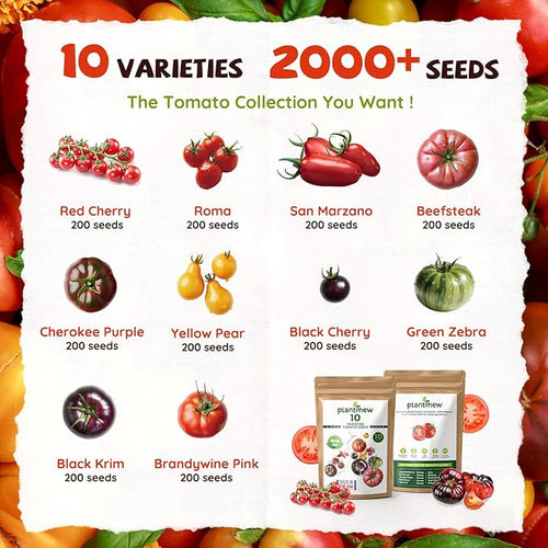 10 Heirloom Tomato Seed Varieties Packet - Non-GMO, Open Pollinated Seeds for Planting Home Garden - Beefsteak, Roma, San Marzano, Cherokee Purple, Cherry Tomato & More