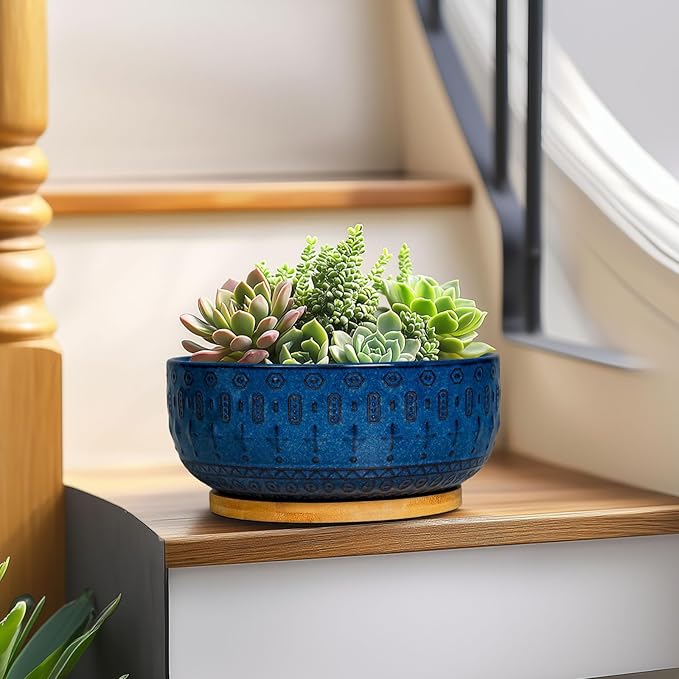 Bonsai Pots - 8 Inch Ceramic Succulent Pots with Drainage Hole and Saucer, Planters for Indoor Plants, Modern Round Decorative Flower Planter, Home Decor, Housewarming Gifts, Blue