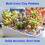 180g Garden Soil,Clay Pebbles Gardening Ceramsite Orchid Rocks Drainage Water Purification Ceramsite Decor Cultivation Soil Stone Horticultural Grade for Soil Hydroponics Aquaponics,Diameter 8-10mm