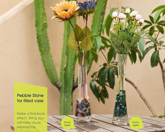 RIFNY Decorative Polished Rocks, 0.3" Gravel Rocks Crushed Crystal for Plant Flower Pots Succulents Cactus Bamboo Plant Vase Filler Aquarium Fish Tank Decorations and DIY Craft (1.5 LB, Green)