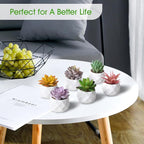 ZINHO Fake Succulent Plant Set 6 PCS Artificial Succulent Plants for Desk Realistic Faux Succulents in Plastic Pots Mini Colorful Succulent Decor for Bedroom Bathroom Office Shelf Decor (Mix)