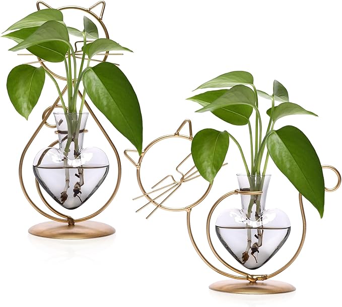 Plant Terrarium Plants Propagation Station Cat Lover Gifts for Women Home Office Decor Cat Desk Accessories