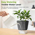 5 Pack Self Watering Pots for Indoor Plants, 6.7 Inches Self Watering Planters African Violet Pots Clear Pots for Herb Orchid Flower Houseplant, Dark Grey