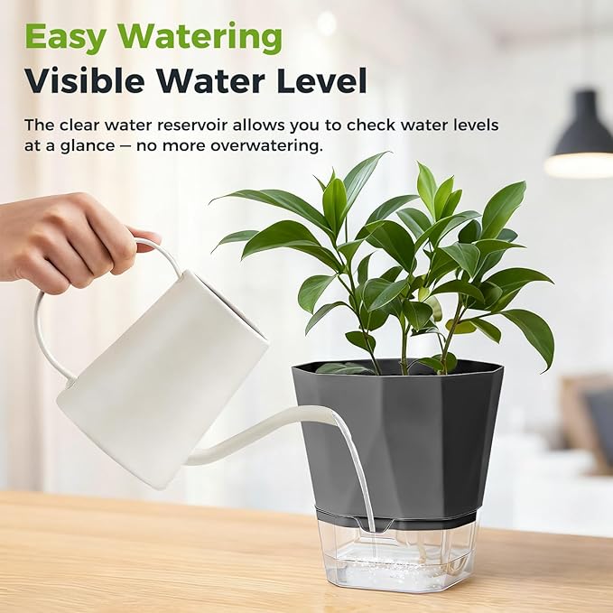 12 Pack Self Watering Pots for Indoor Plants, 5 Inches Self Watering Planters African Violet Self Watering Clear Pots for Plants Herb Orchid Flower Houseplant, Dark Grey