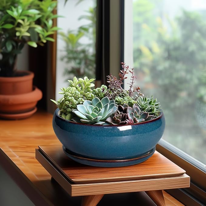 SQOWL Bonsai Pots - 8 Inch Ceramic Succulent Pots with Drainage Hole and Saucer, Round Shallow Planter for Indoor Outdoor Plants Flowers, Ceramic Planter Bowl, Room Decor, Gardening Gifts, Blue